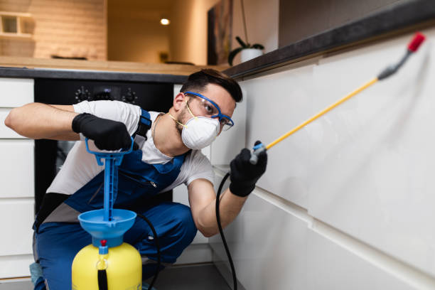 Best Wasp Removal Services  in Walnut Creek, OH