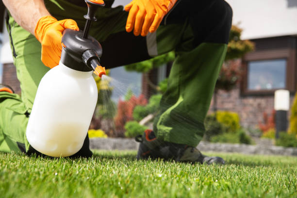 Best Bed Bug Extermination  in Walnut Creek, OH