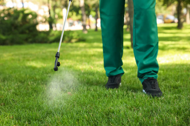 Best Ant Control Services  in Walnut Creek, OH