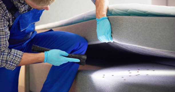 Best Cockroach Control Services  in Walnut Creek, OH