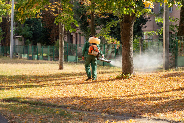Best Residential Pest Control  in Walnut Creek, OH