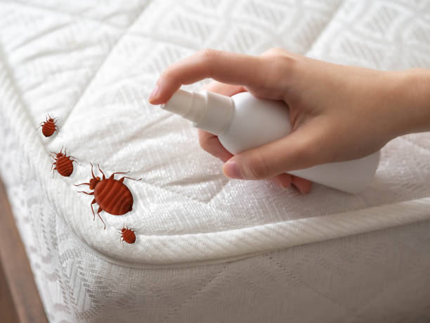 Best Affordable Pest Control Services  in Walnut Creek, OH