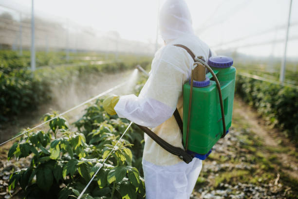 Reliable Walnut Creek, OH Pest Control Solutions